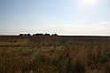 Karpaty+Krym 06.2007 240